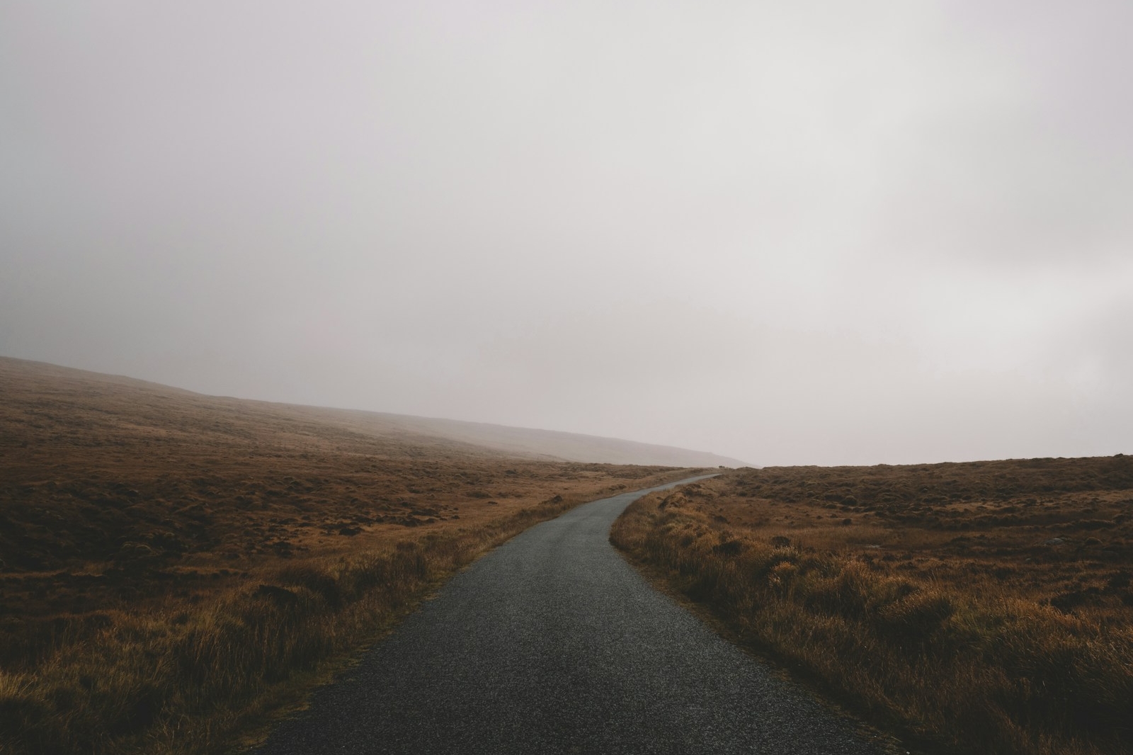 road during foggy weather